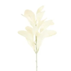 Artificial Lambs Ears Short Stem Cream 35cm - LAM007 I3