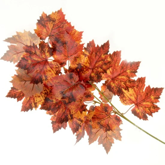 Artificial Maple Leaves Orange 60cm- MAP021 AA2