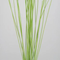 Midelino Sticks Lime Green - MS005