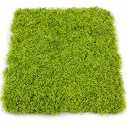 Artificial Moss Panel 100cm x 100cm - MOS007