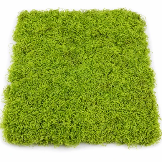 Artificial Moss Panel 100cm x 100cm - MOS007