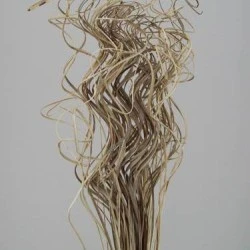 Ting Ting Natural - TT001 T1