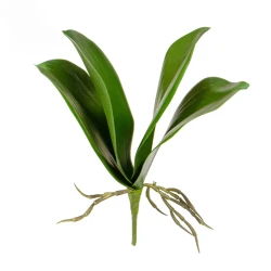 Artificial Orchid Leaves and Roots 27cm - O004 GG1
