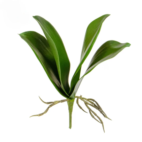 Artificial Orchid Leaves and Roots 27cm - O004 GG1