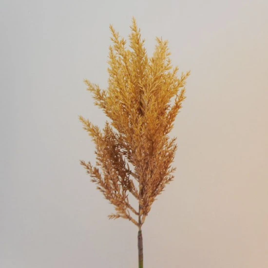 Artificial Pampas Grass Caramel 65cm - PAM025 L3