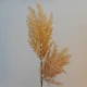 Artificial Pampas Grass Caramel 70cm - PAM023 KK4