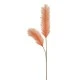 Artificial Pampas Grass Coral 100cm - PAM014 S2
