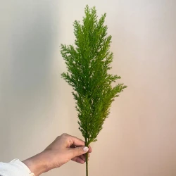 Artificial Pampas Grass Green 70cm - PAM032 R3