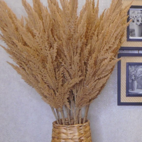 Artificial Pampas Grass Natural 90cm - PAM006 I1