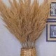 Artificial Pampas Grass Natural 90cm - PAM006 I1