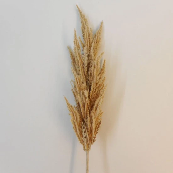 Artificial Pampas Grass Natural 90cm - PAM006 I1