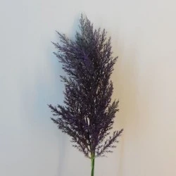 Artificial Pampas Grass Aubergine Purple 70cm - PAM010 Q3