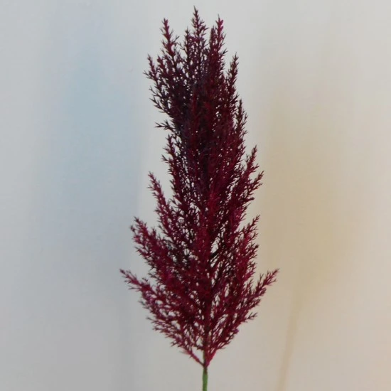 Artificial Pampas Grass Burgundy Red 70cm - PAM011 II1