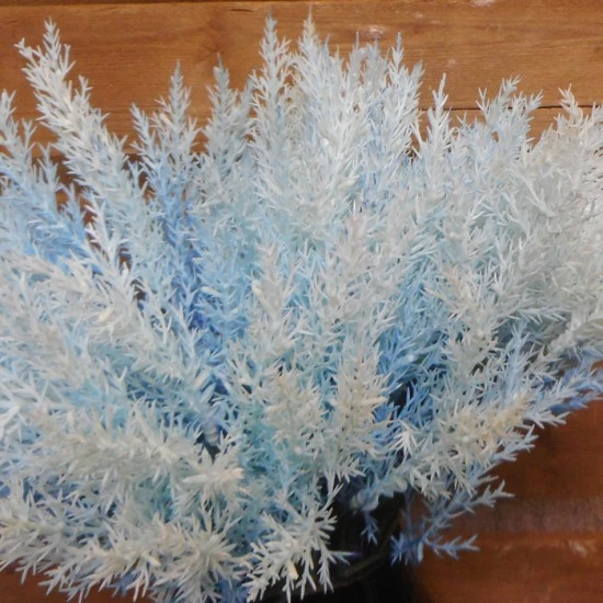 Artificial Pampas Grass Pick x 6 Teal Blue 37cm - PAM026 L3