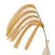 Artificial Pampas Grass Trailing Caramel 128cm - PAM017 CC1