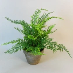 Potted Artificial Lace Fern - FER029 1C