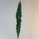 Real Touch Asplenium Leaf - ASP003 A2