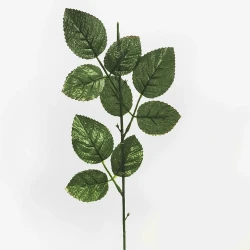 Rose Leaf Stem 56cm  - ROS100 BAY1D