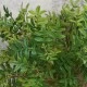 Artificial Sorbus Leaf Spray 60cm - SOR001 II4