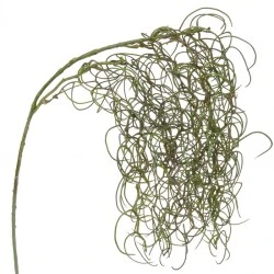 Artificial Tillandsia Trailing Plant (Spanish Moss) - TWI009 R3