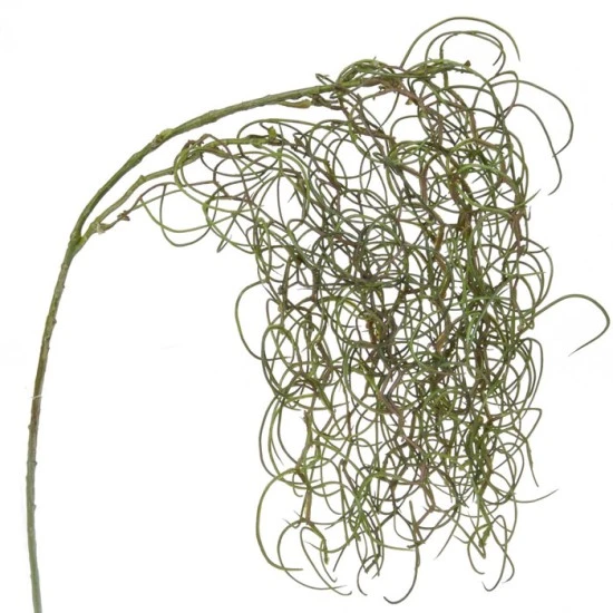 Artificial Tillandsia Trailing Plant (Spanish Moss) - TWI009 R3