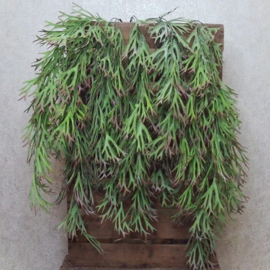 Trailing Artificial Stag Horn Plants 82cm - STA005 T1