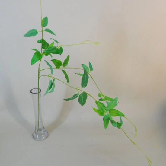 Trailing Artificial Ruscus Stem - RUS009 F3