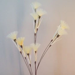 Tassel Flowers Vanilla Cream 82cm - T065 LL3