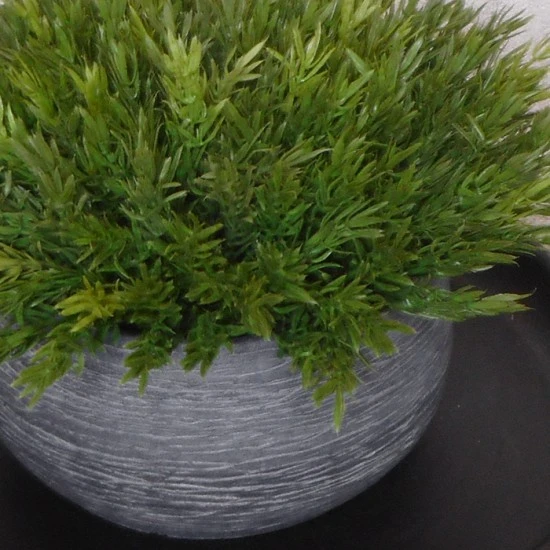 Faux Vanilla Bush in Grey Stone Bowl 33cm - VAN002 