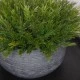 Faux Vanilla Bush in Grey Stone Bowl 33cm - VAN002 