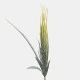 Artificial Wheat Stem Green 47cm - WHE002 BX22