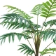Artificial Areca Palm Fern Plant in Basket 70cm - PAL004 OFF