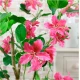 Artificial Bauhinia Tree Pink 120cm - BAU001