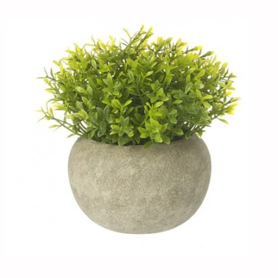 Artificial Boxus Plants in Pot 12cm  - BOX002 6C