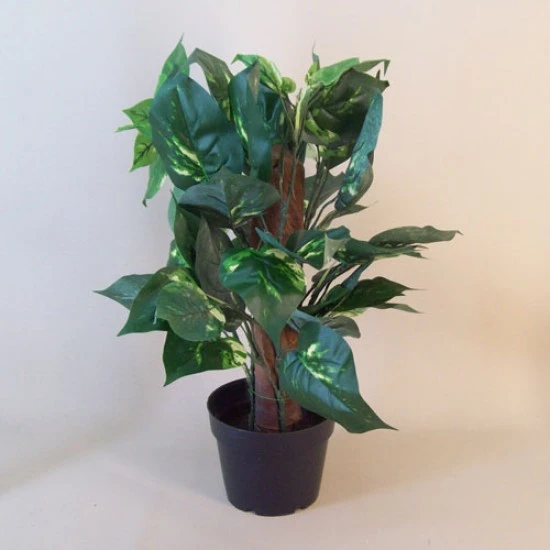 Artificial Plants Potted Dieffenbachia - DIE001 6D