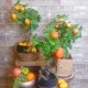 Artificial Apple Tree 50cm - APP506 2A
