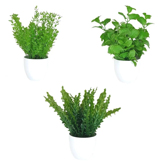 Artificial Plants Asplenium Plant in White Pot 26cm - ASP008
