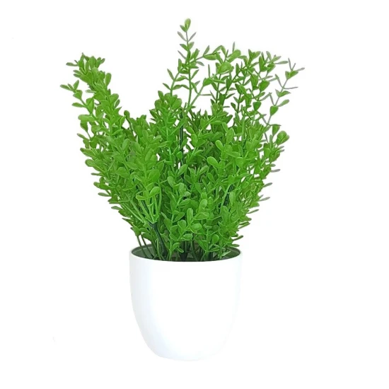 Artificial Plants Boxwood Plant in White Pot 26cm - BOX005