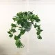 Potted Artificial Trailing Philodendron Plant in Macrame Hanger - PHI019 5B