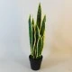 Artificial Pot Plants | Sansevieria Large 64cm - SAN004 5E