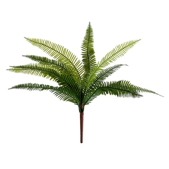 Budget Fern Plants Two Tone Green 37cm - FER033 F3