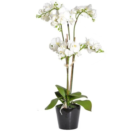 Real Touch Phalaenopsis Orchid Plant White 92cm - ORP042 5A/6A
