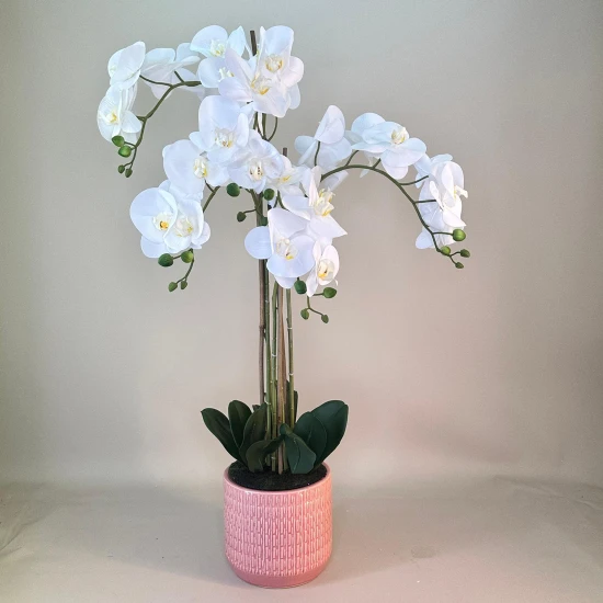 Real Touch Phalaenopsis Orchid Plants White in Pink Pot 98cm - O090