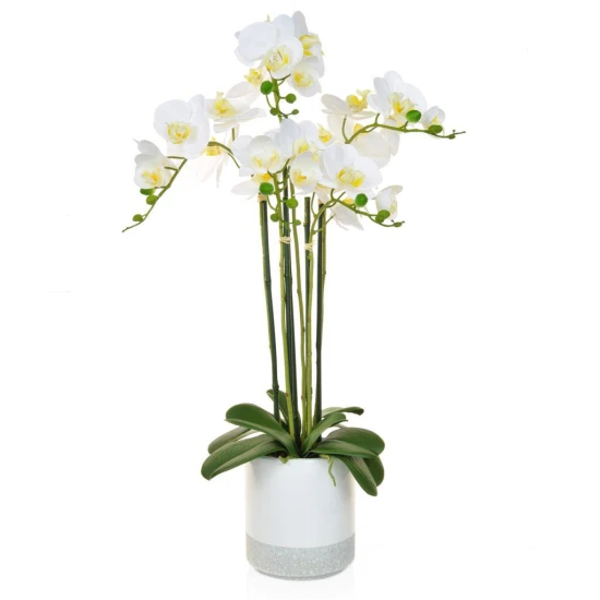 Real Touch White Phalaenopsis Orchid Plant in Grey Pot 70cm - O089