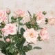 Pink Roses Artificial Flower Arrangement - ROS012 