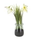 Artificial Snowdrop Plant in Glass Jar 19cm - SNO001 3B