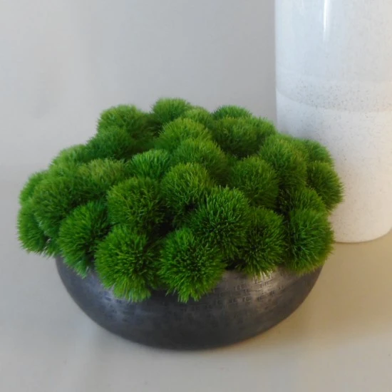 Dianthus in Charcoal Metal Bowl 27cm - DIA001 