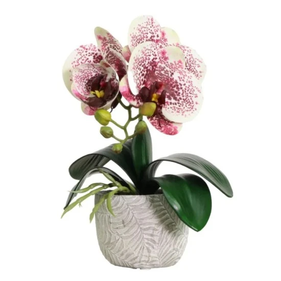 Mini Artificial Orchid Plant in Ceramic Pot White Burgundy 28cm - ORC001 4D