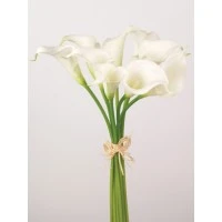Calla Lilies