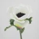 Silk Anemone Ivory 38cm - A007 A2